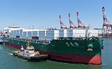 Domestic Shipping Logistics